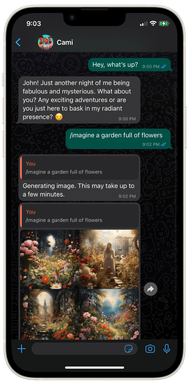 cami image